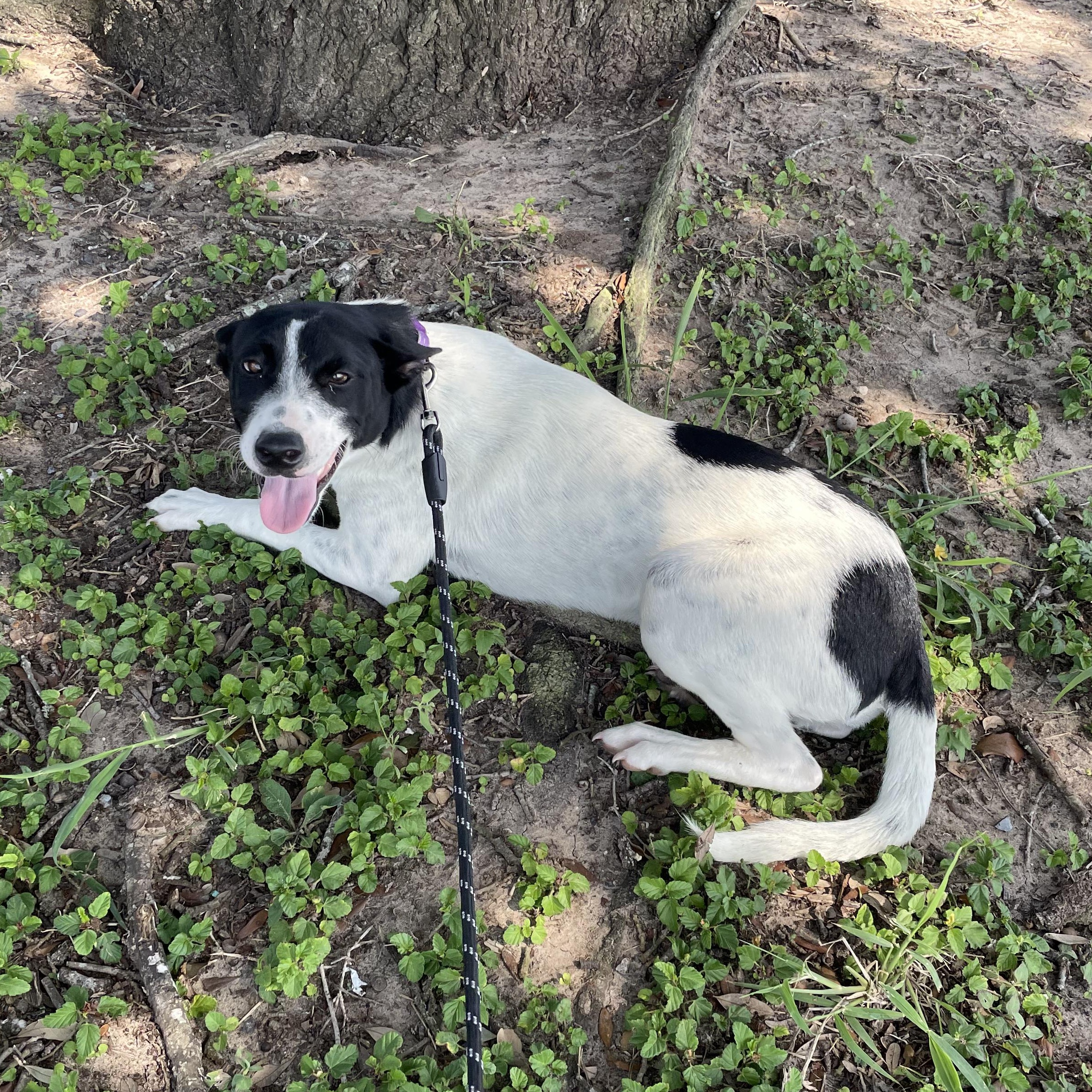 Milly — thumbnail 3