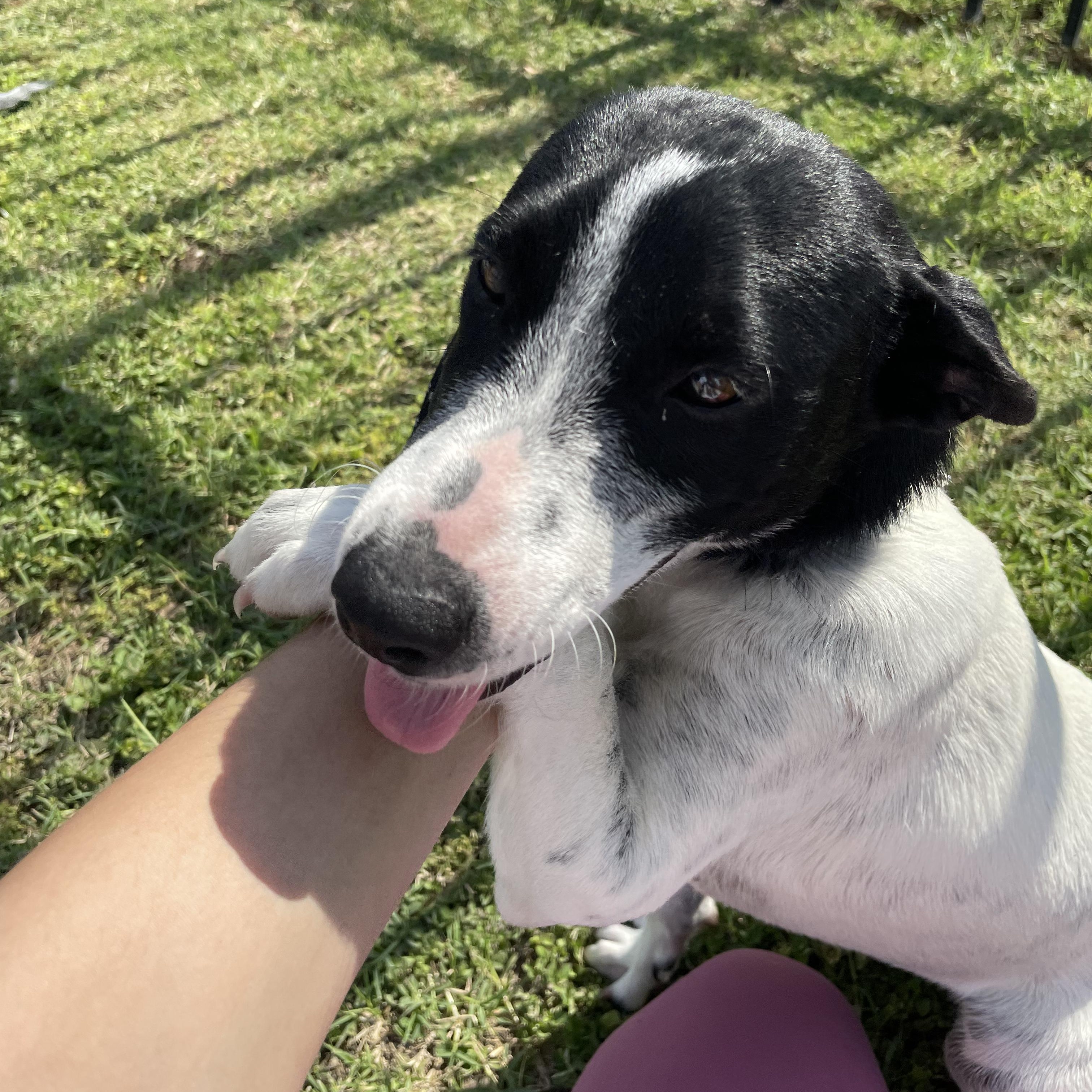 Milly — thumbnail 4