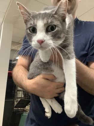 Andalusia — thumbnail 2