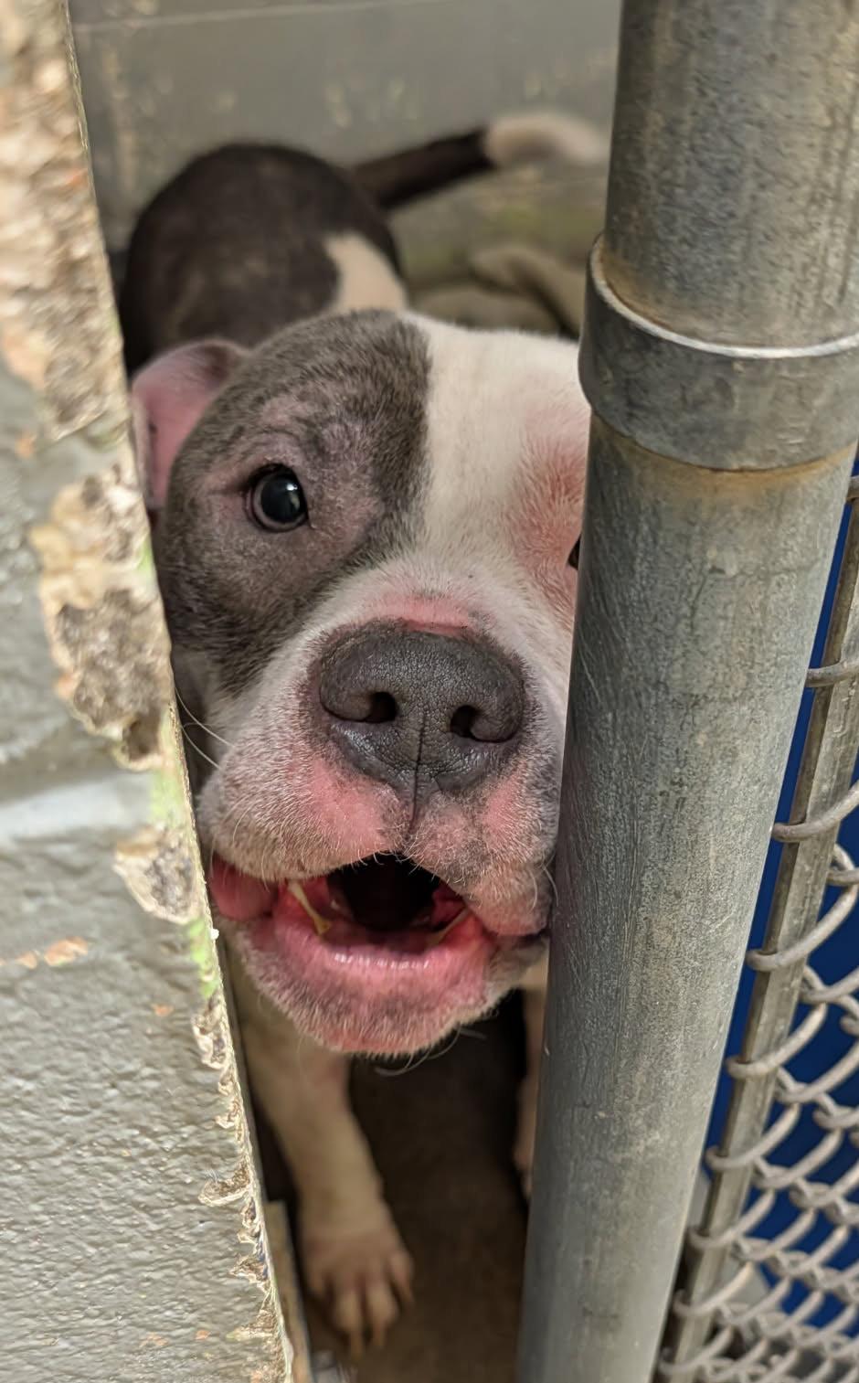 Moto Moto thumbnail 6