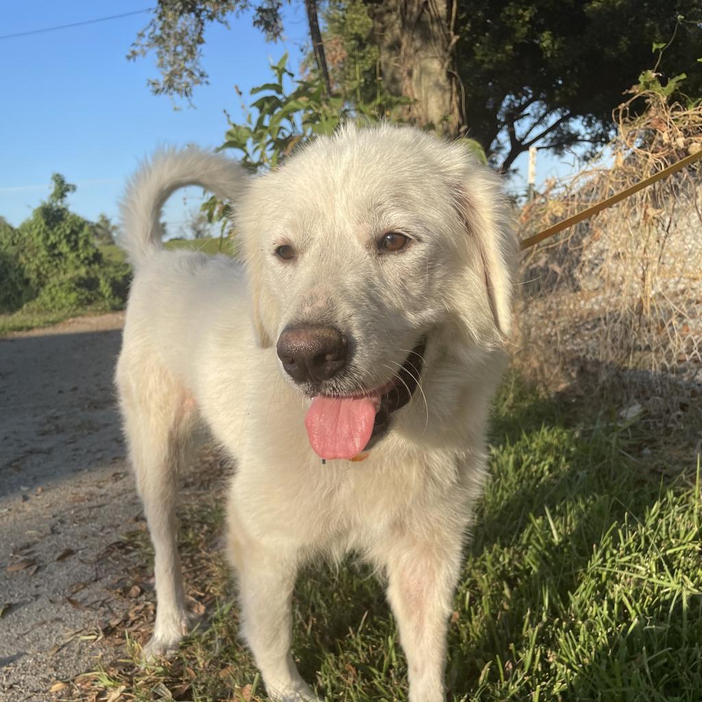 Kaia — thumbnail 2