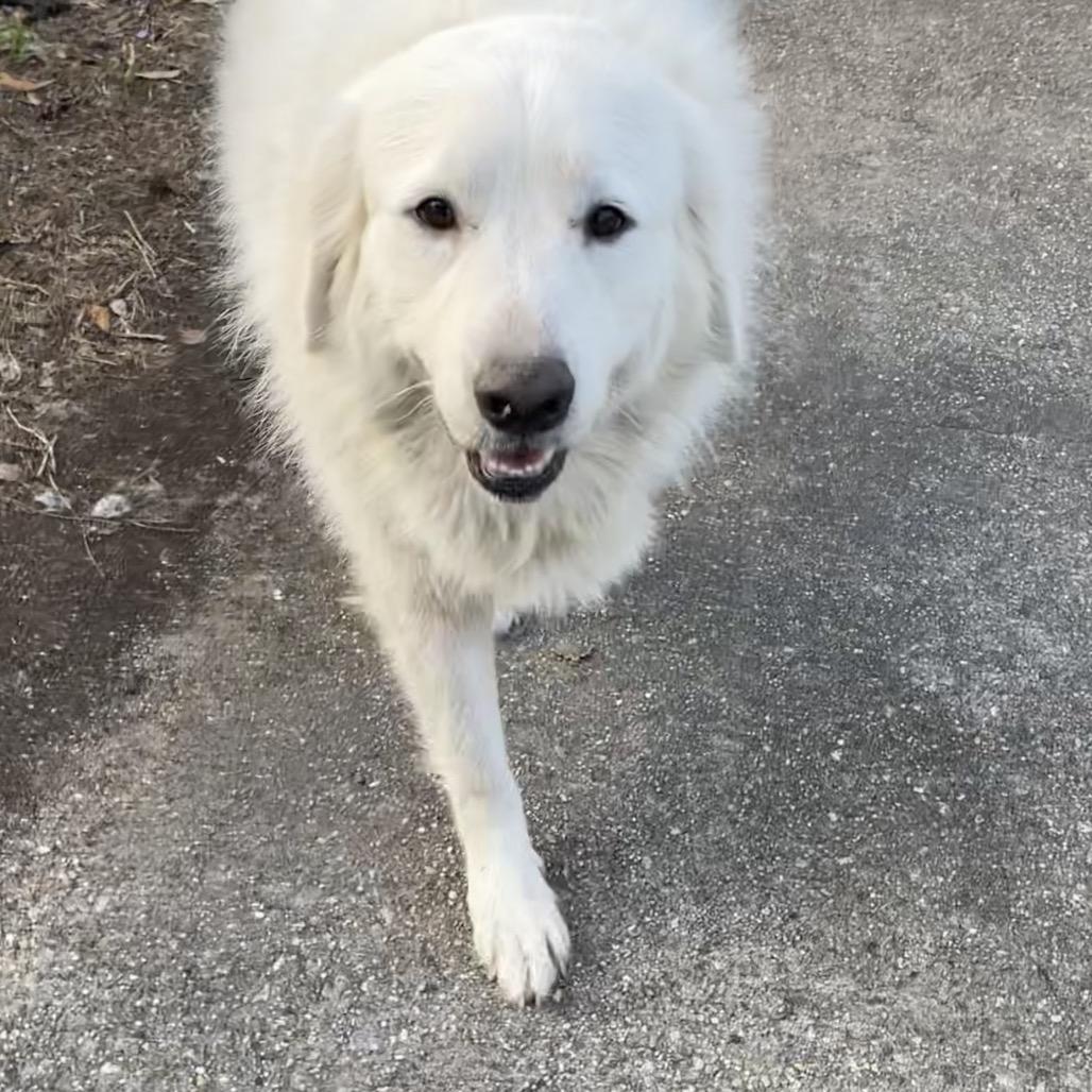 Kaia — thumbnail 3