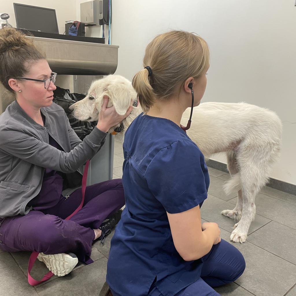 Kaia — thumbnail 4