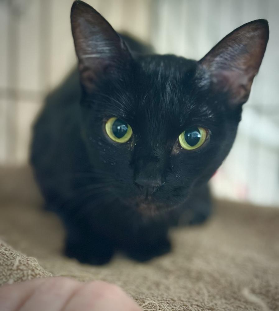 Hather aka Highway Hattie — thumbnail 3