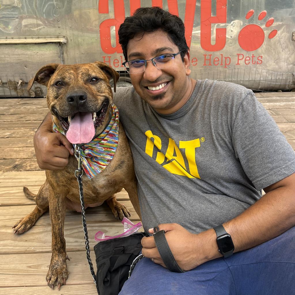 Enlarge Mellie Mel, a Adoptable mixed breed in Austin, TX image 5/5