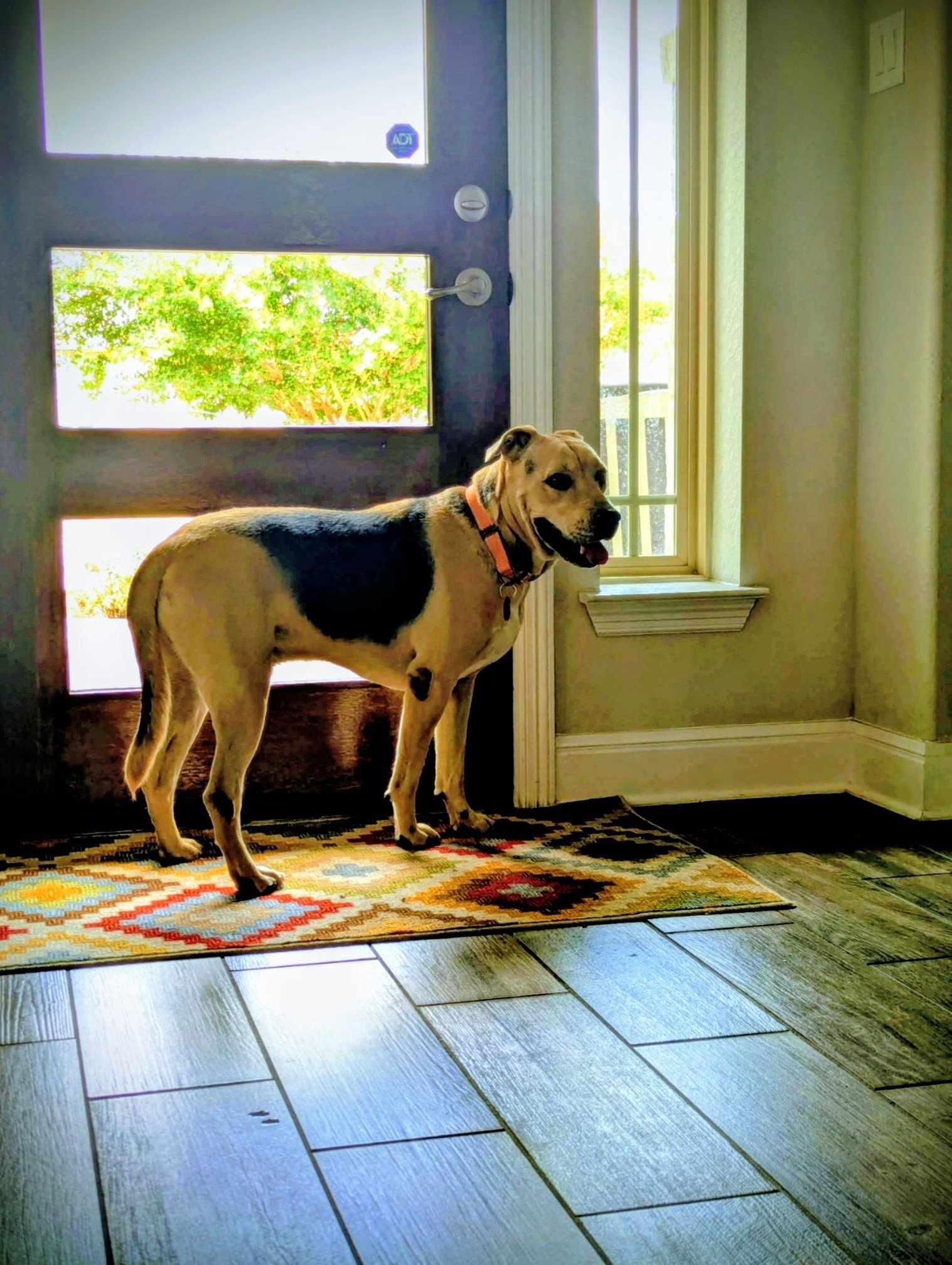 Relay — thumbnail 5