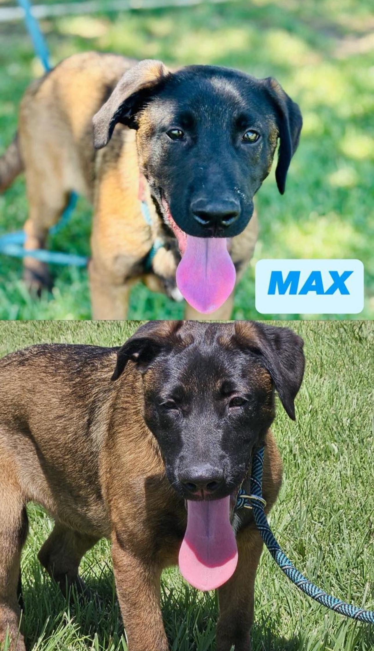 Max