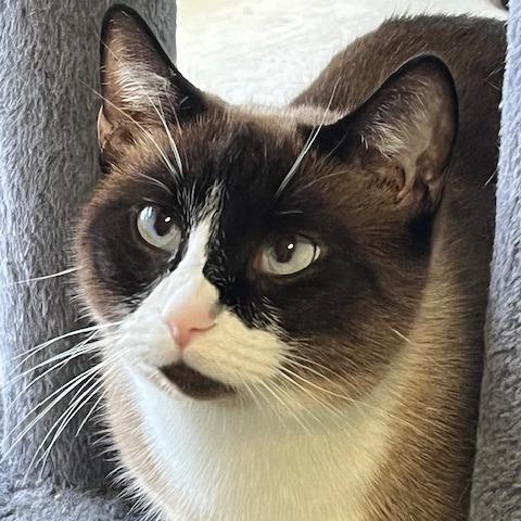 Mama Bandit thumbnail 4