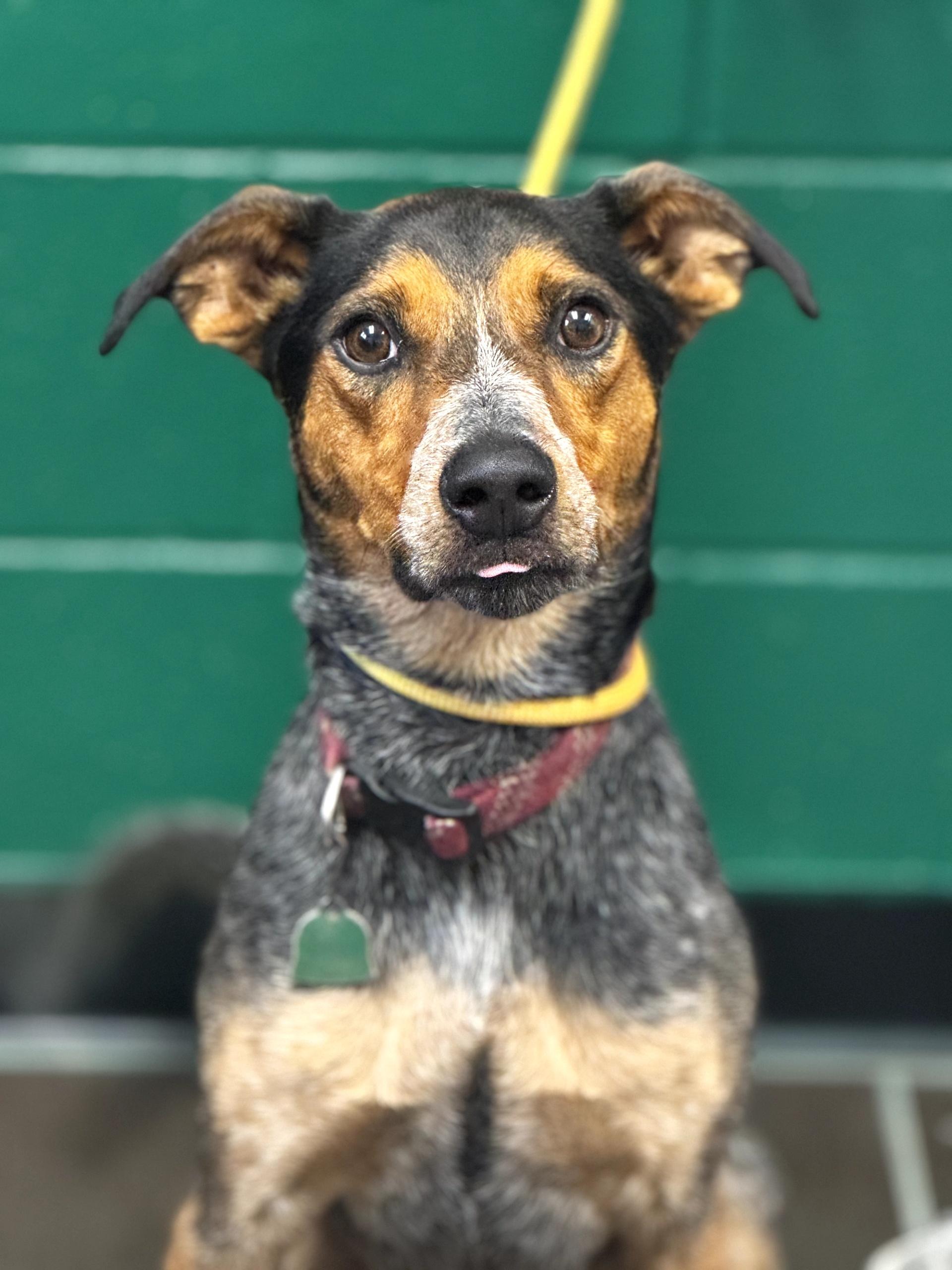 Jax