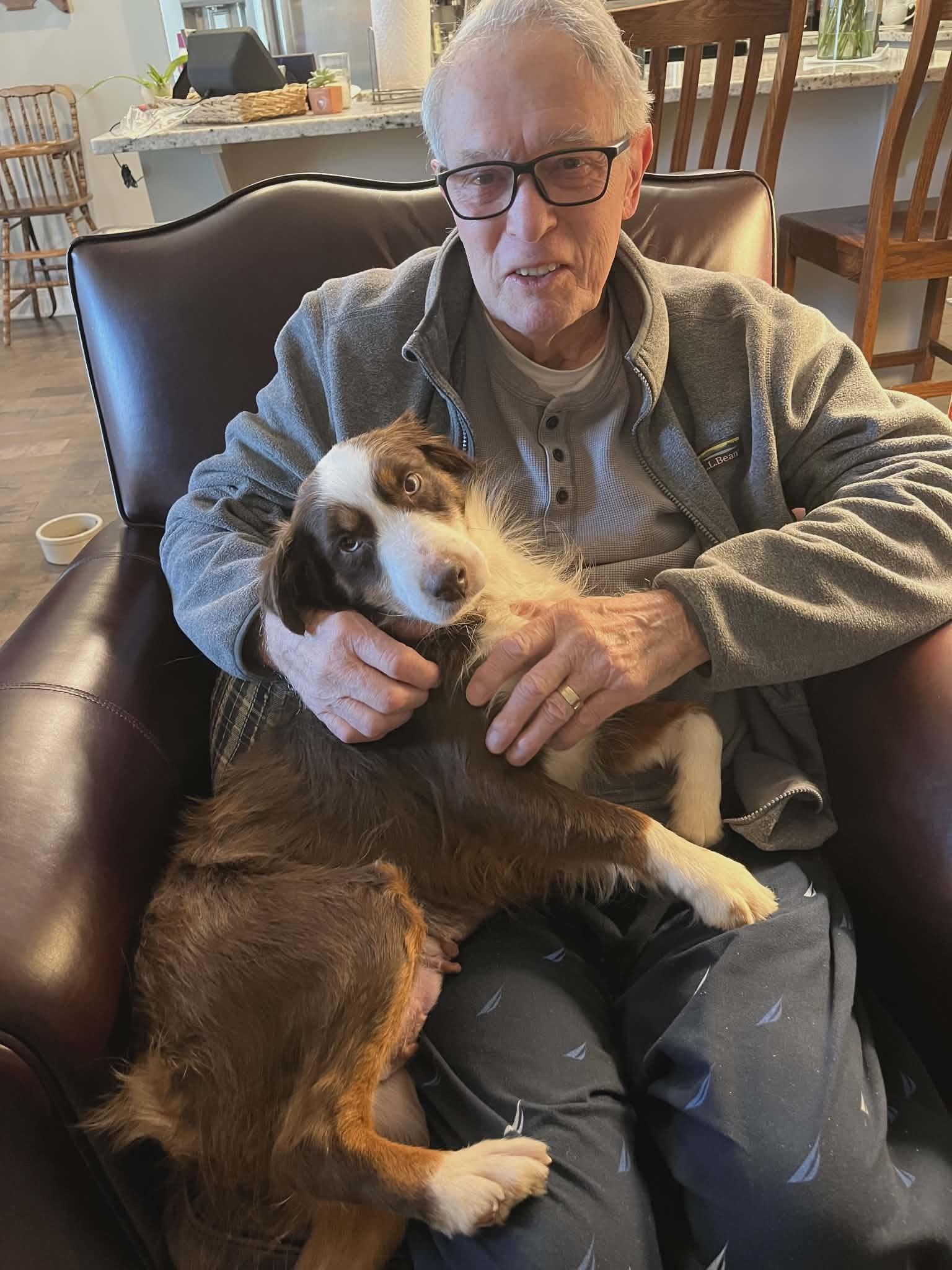 Wish, a Adoptable Australian Shepherd in Kansas City, MO image 2/5