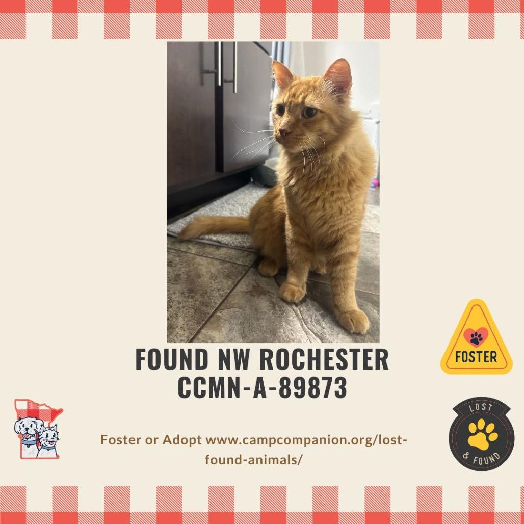 Mufasa — thumbnail 3