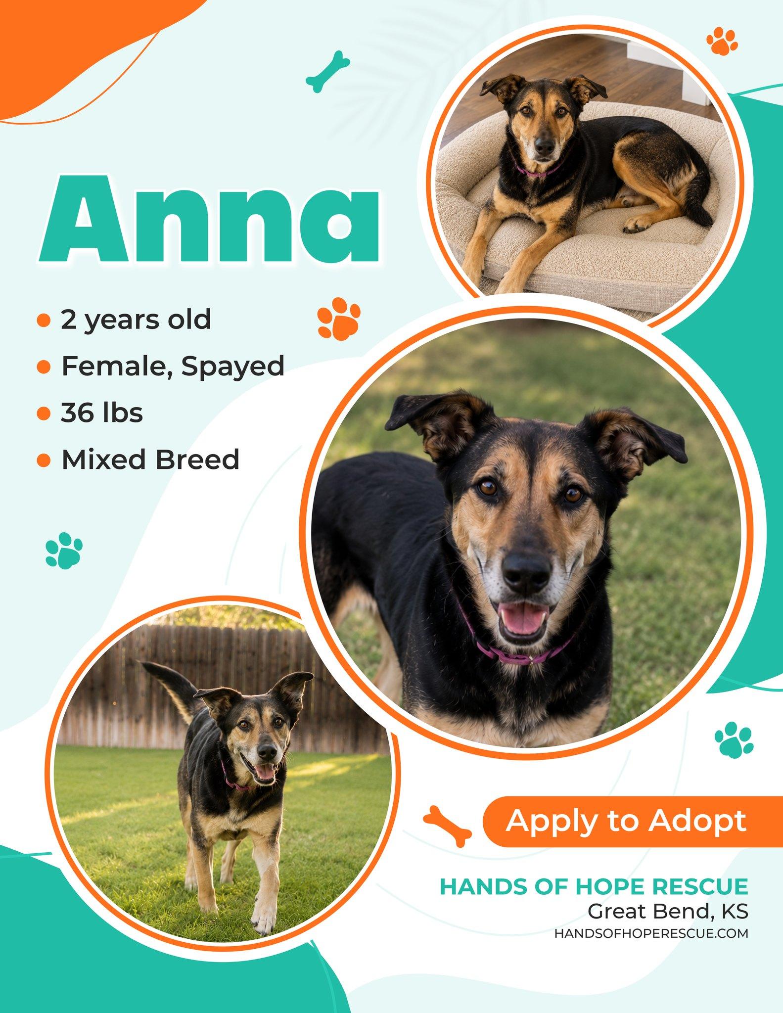 Anna, a ADOPTABLE mixed breed in Great Bend, KS image 1/4