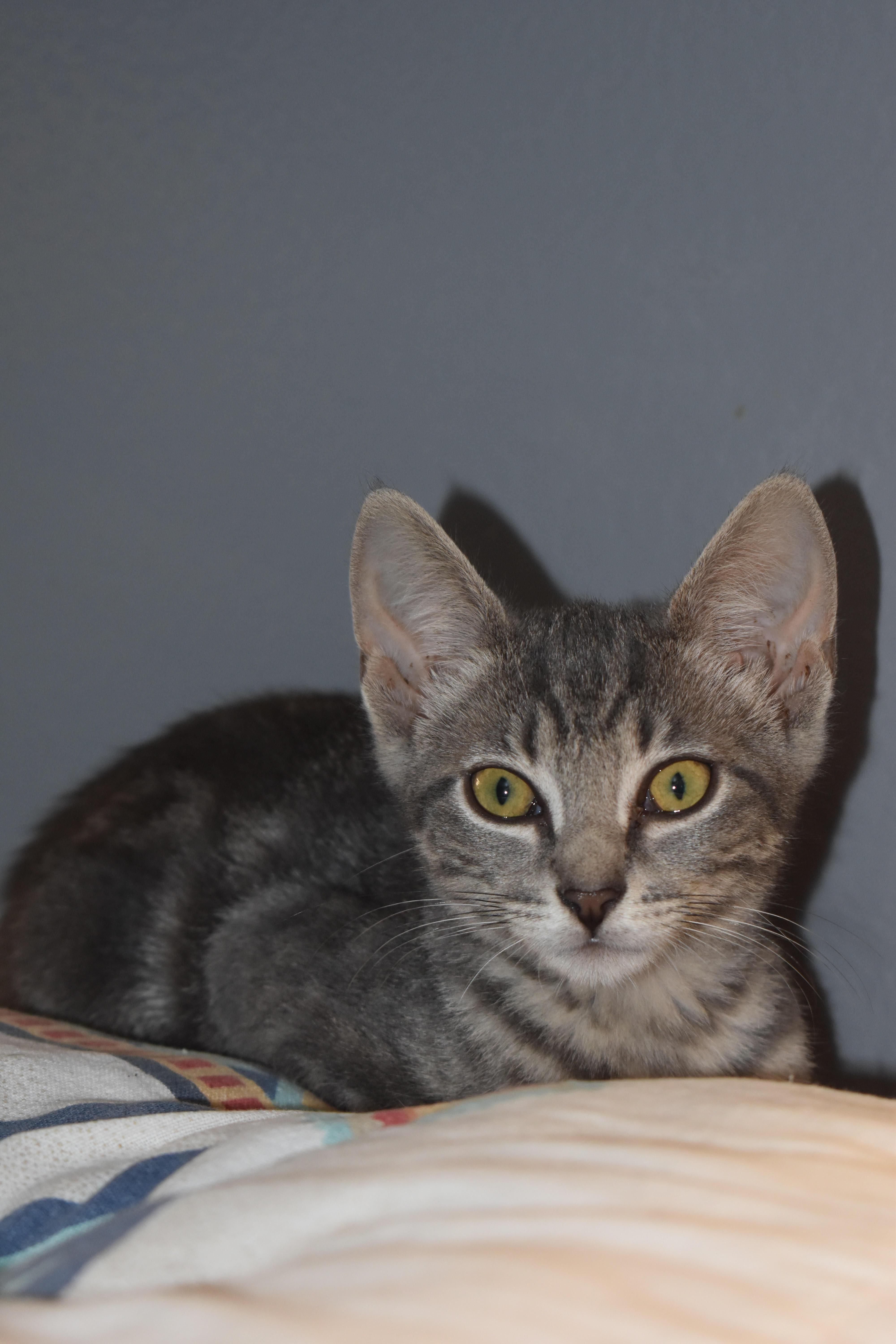 Winnie (fcid# // -