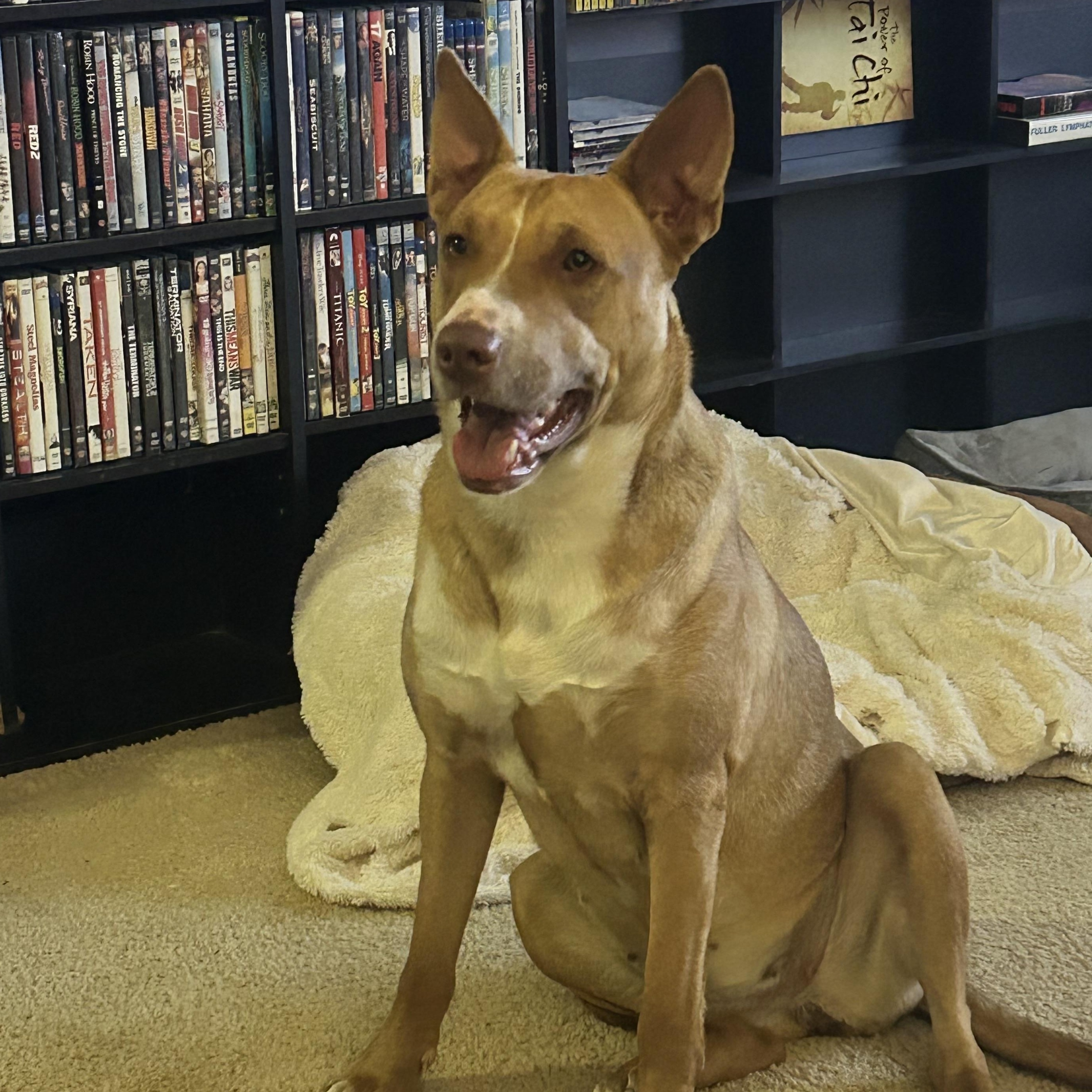 Ripley — thumbnail 2