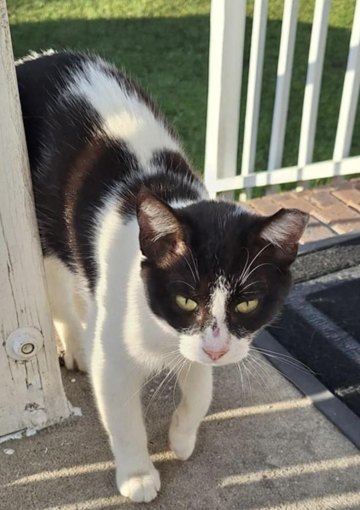 Betsie (courtesy post) photo 2