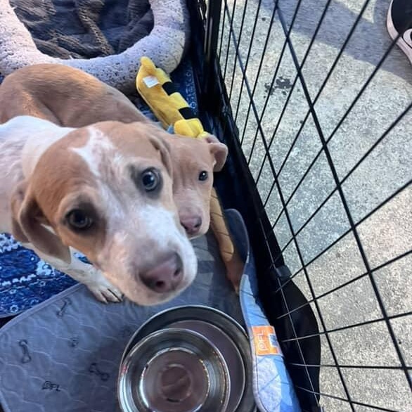 Frisbee - Sweet and Smart Baby!!