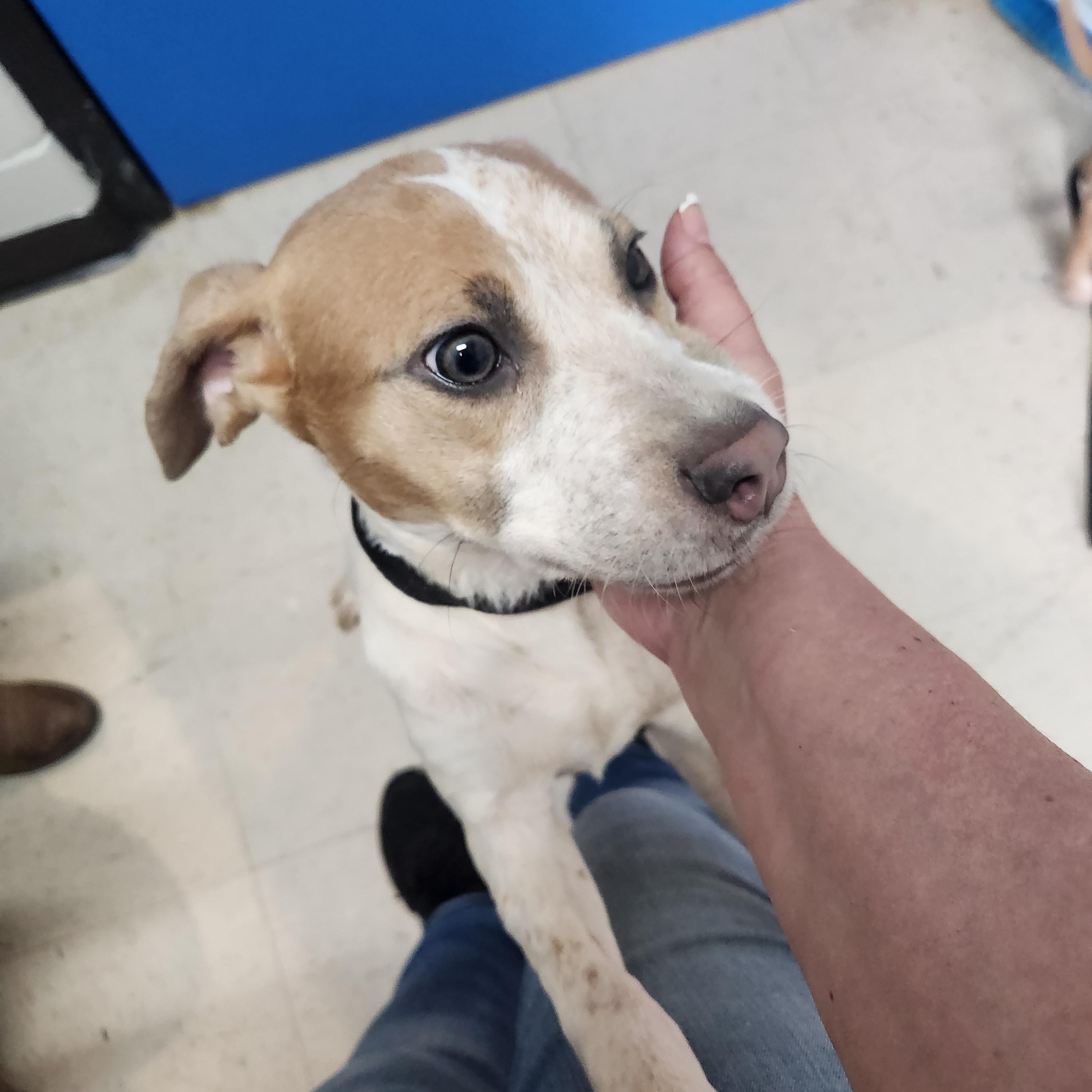 Frisbee - Sweet and Smart Baby!!