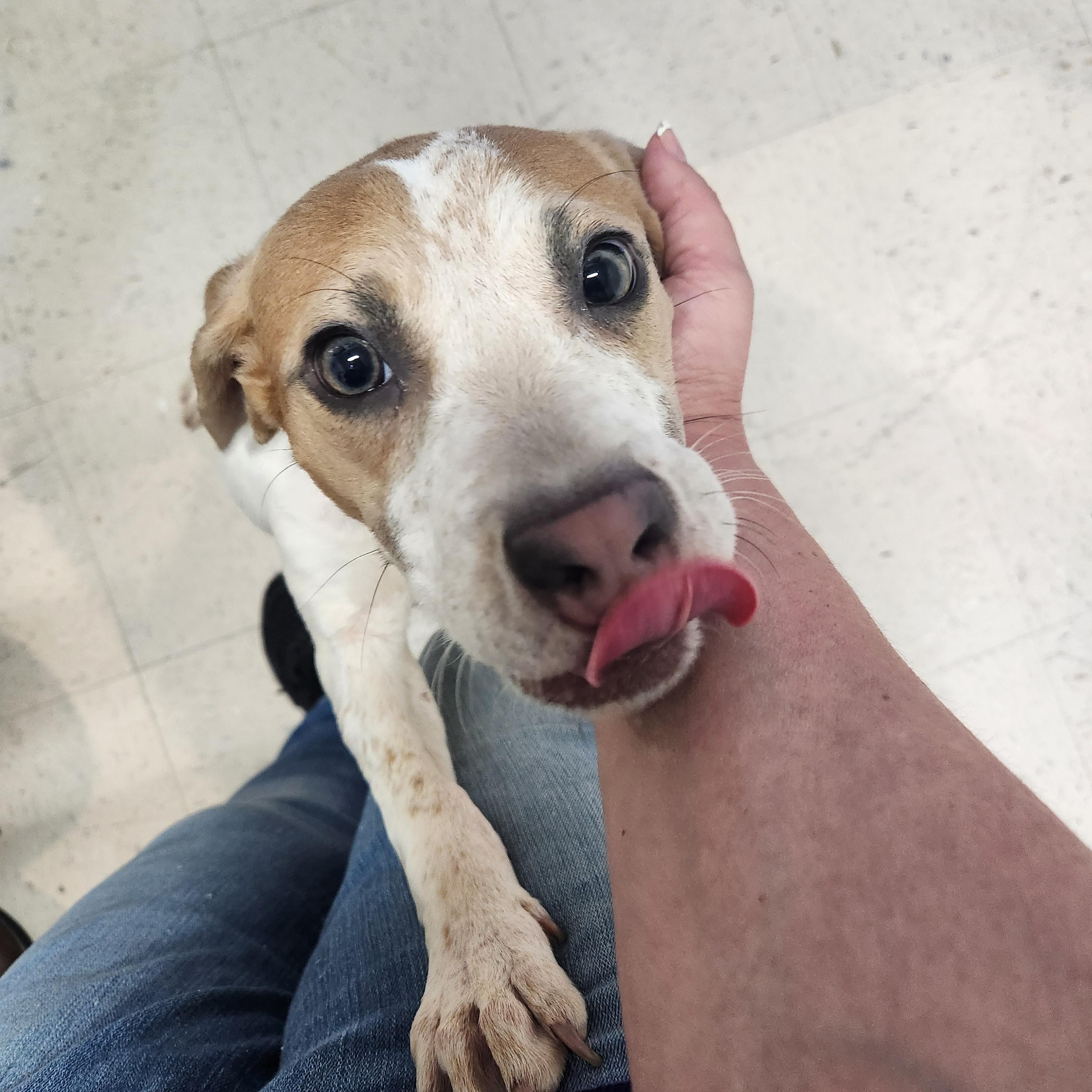 Frisbee - Sweet and Smart Baby!!