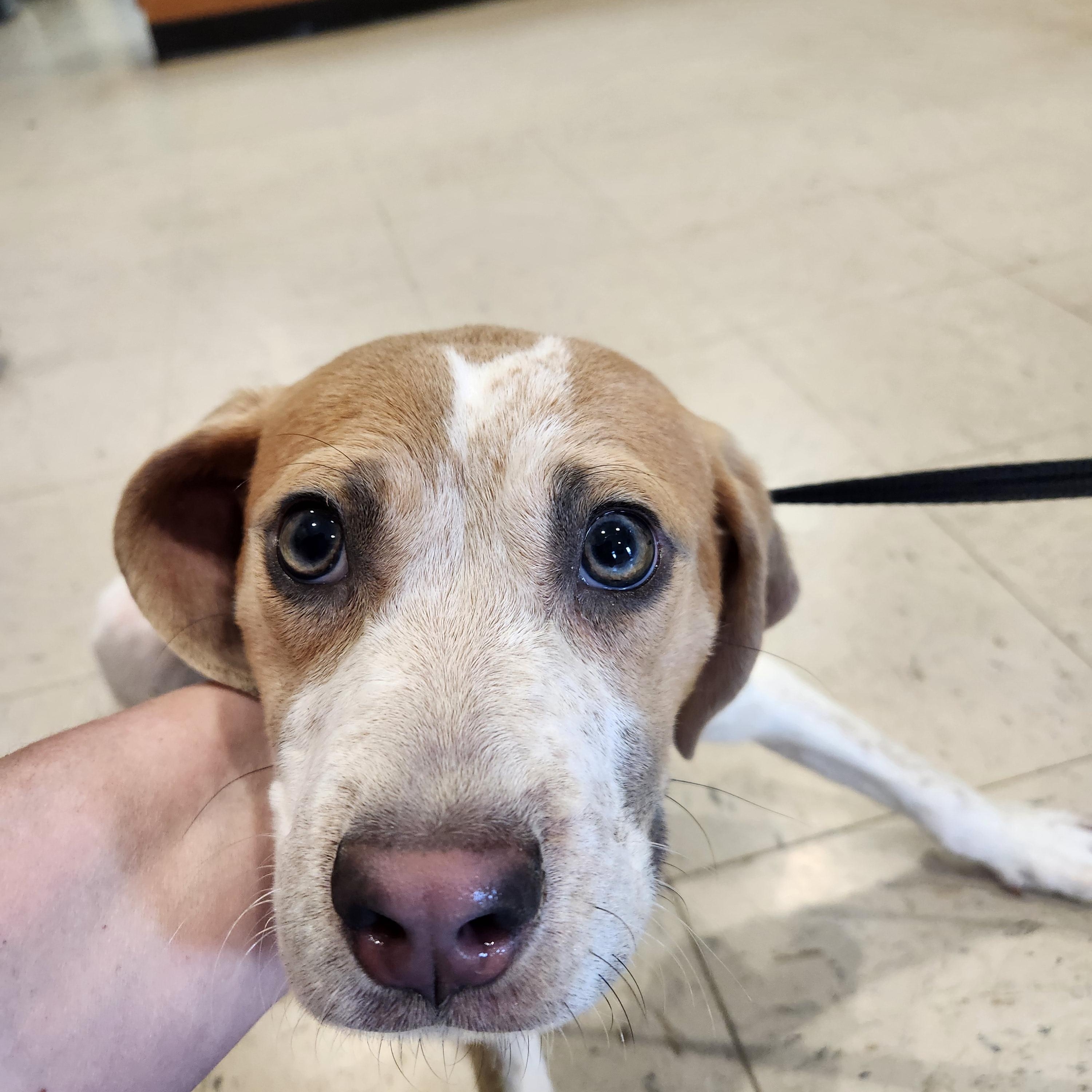 Frisbee - Sweet and Smart Baby!!