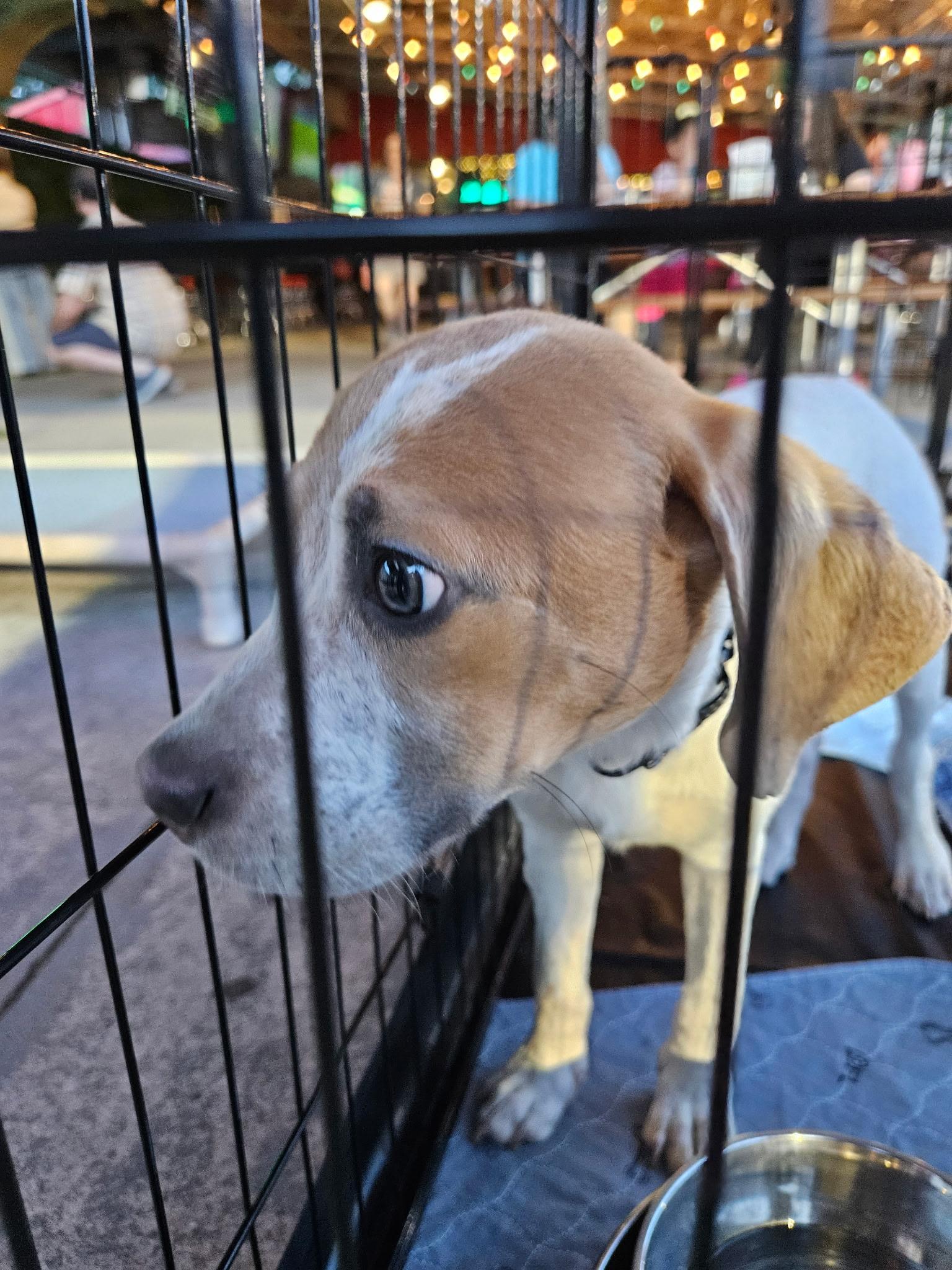 Frisbee - Sweet and Smart Baby!!