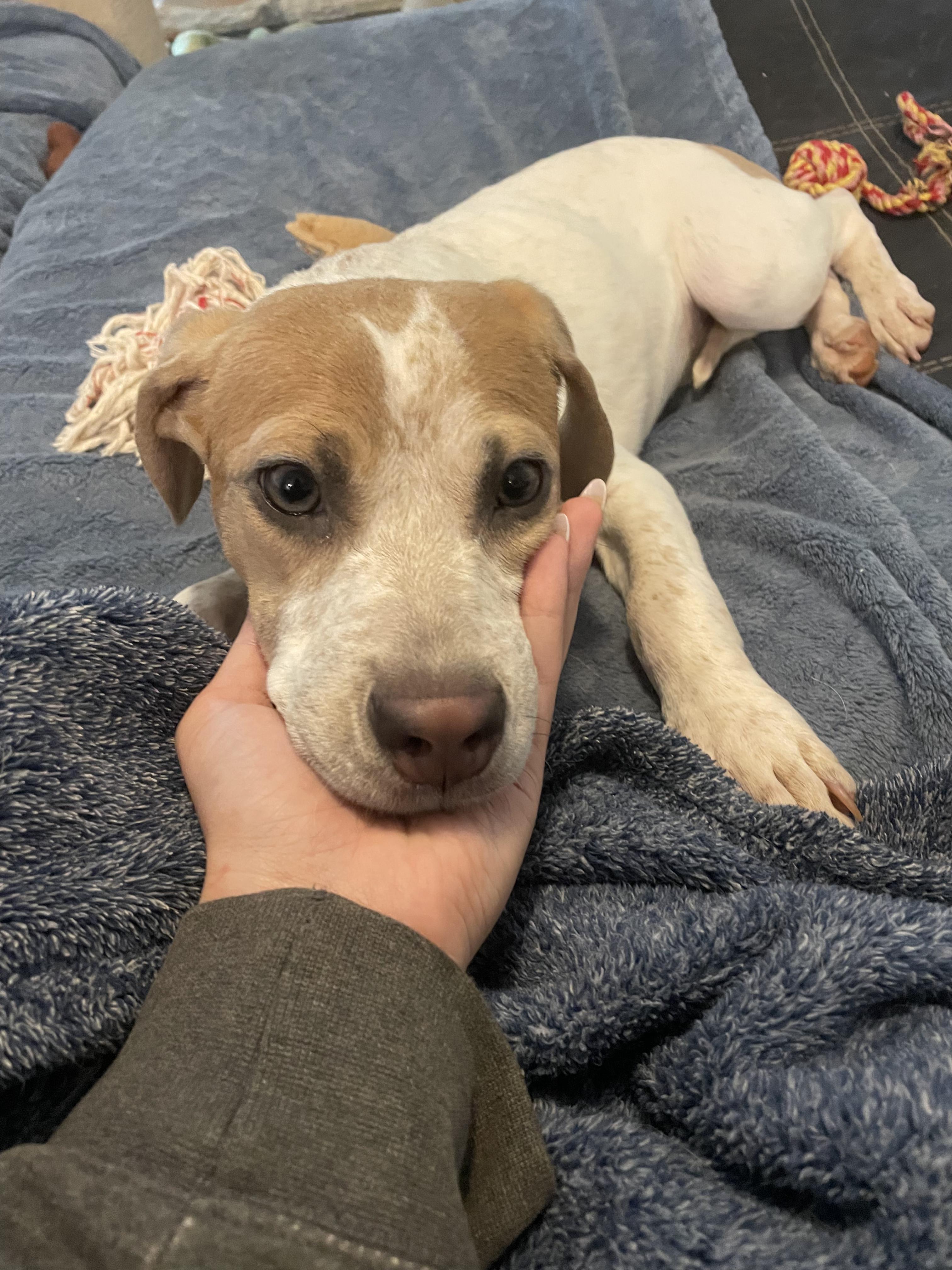 Frisbee - Sweet and Smart Baby!!