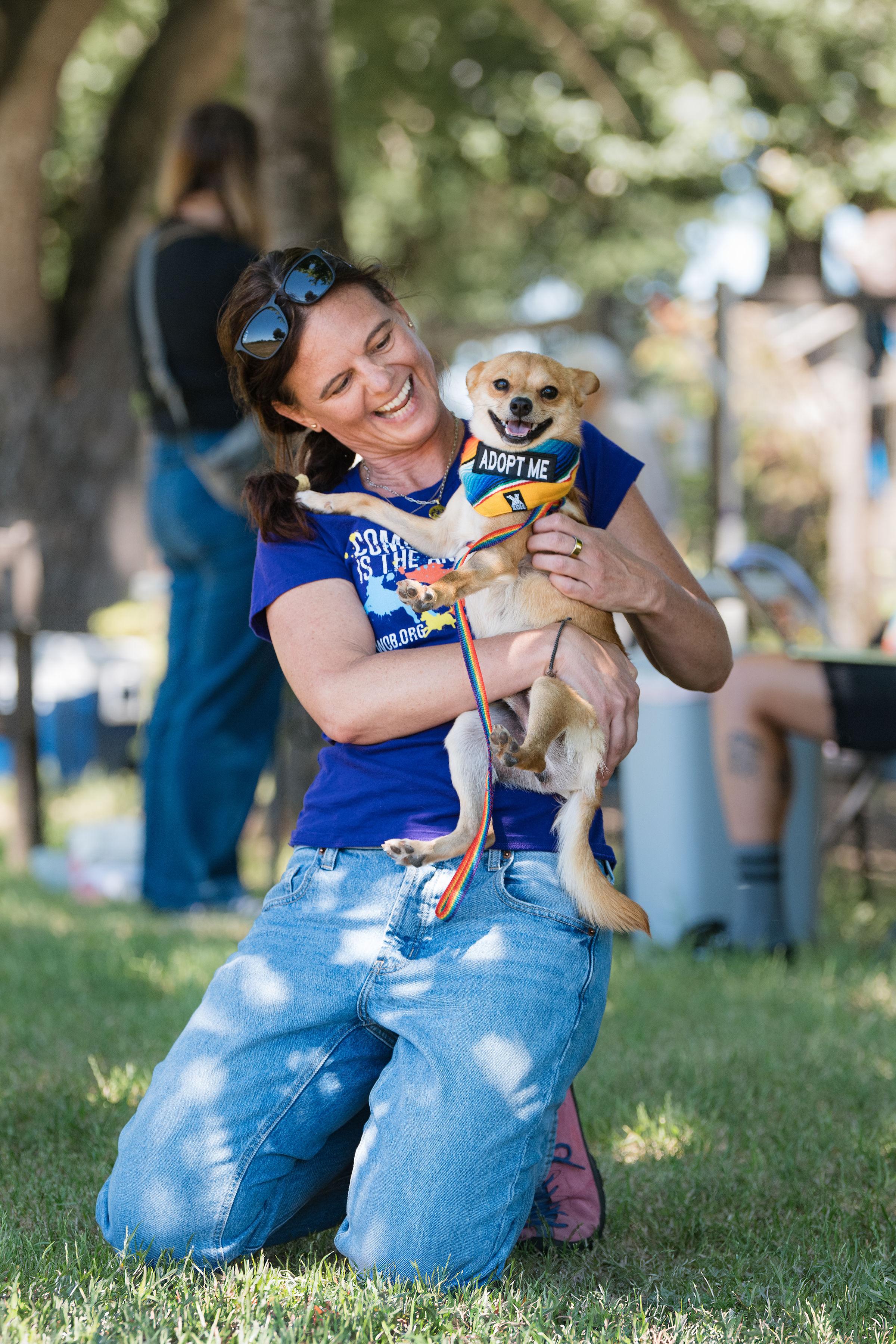 Enlarge Rocket, a ADOPTABLE mixed breed in Santa Rosa, CA image 4/6