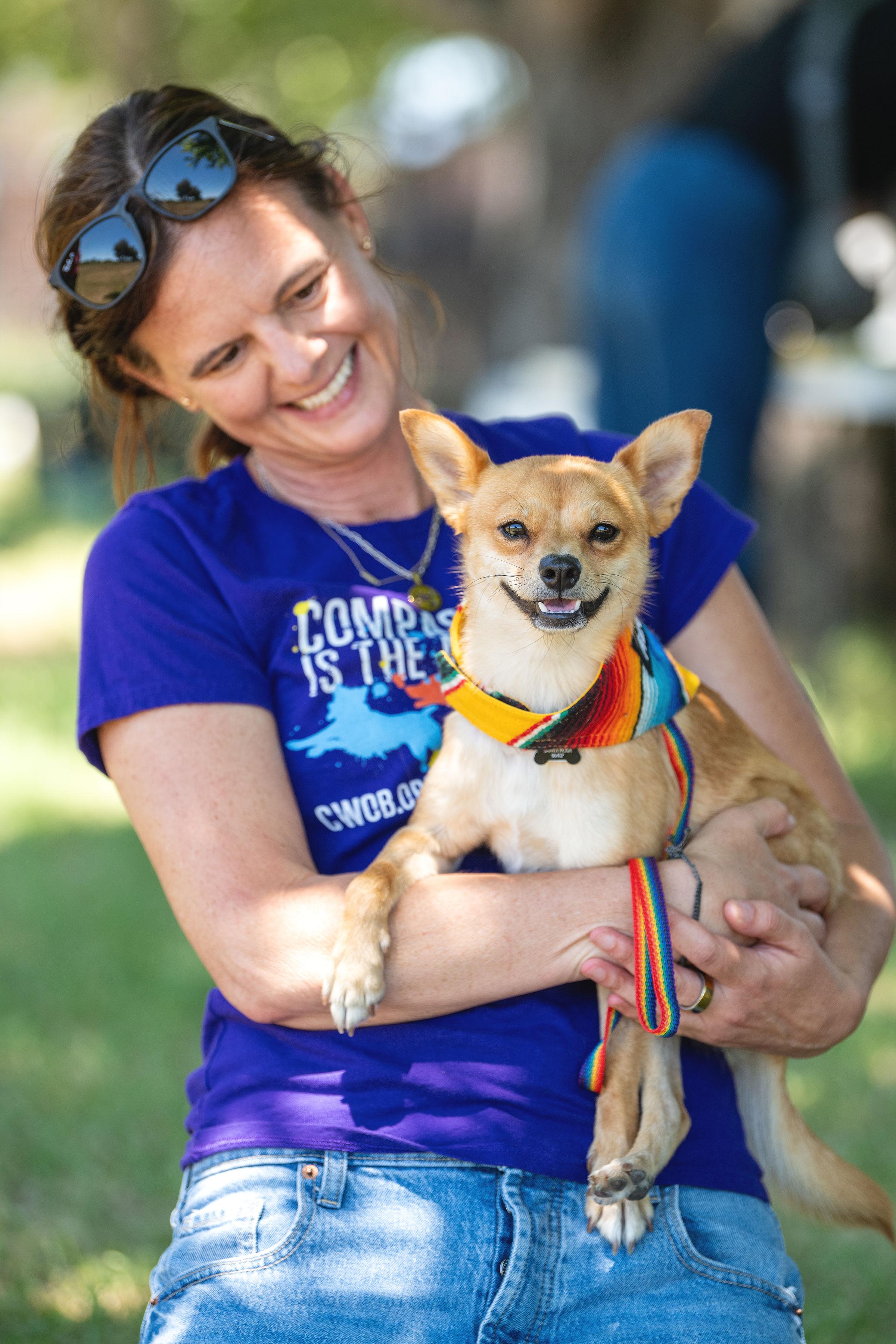 Enlarge Rocket, a ADOPTABLE mixed breed in Santa Rosa, CA image 2/6