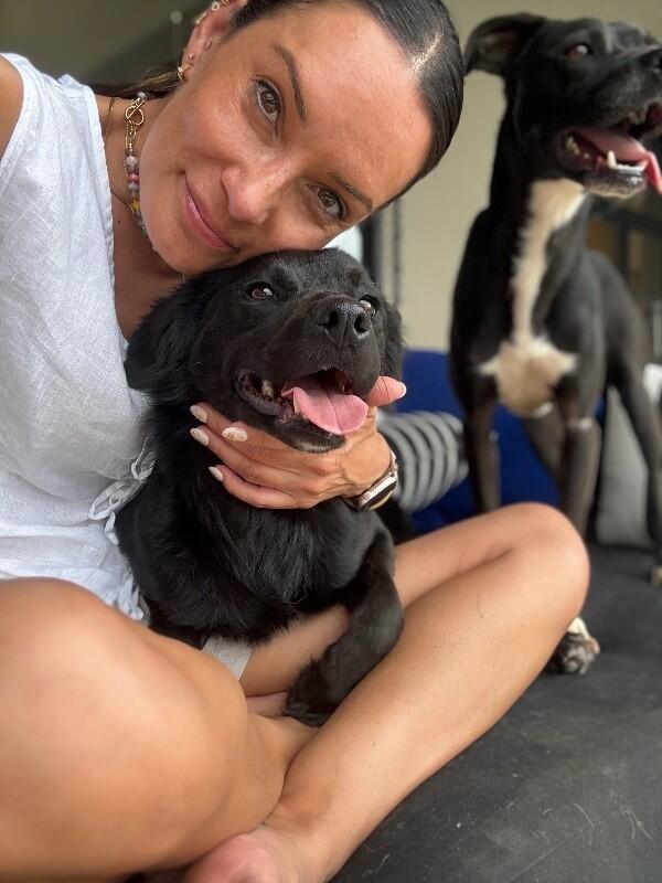 Enlarge Fig Fern Sprout Forever Pup, a Adoptable mixed breed in Friendswood, TX image 3/6