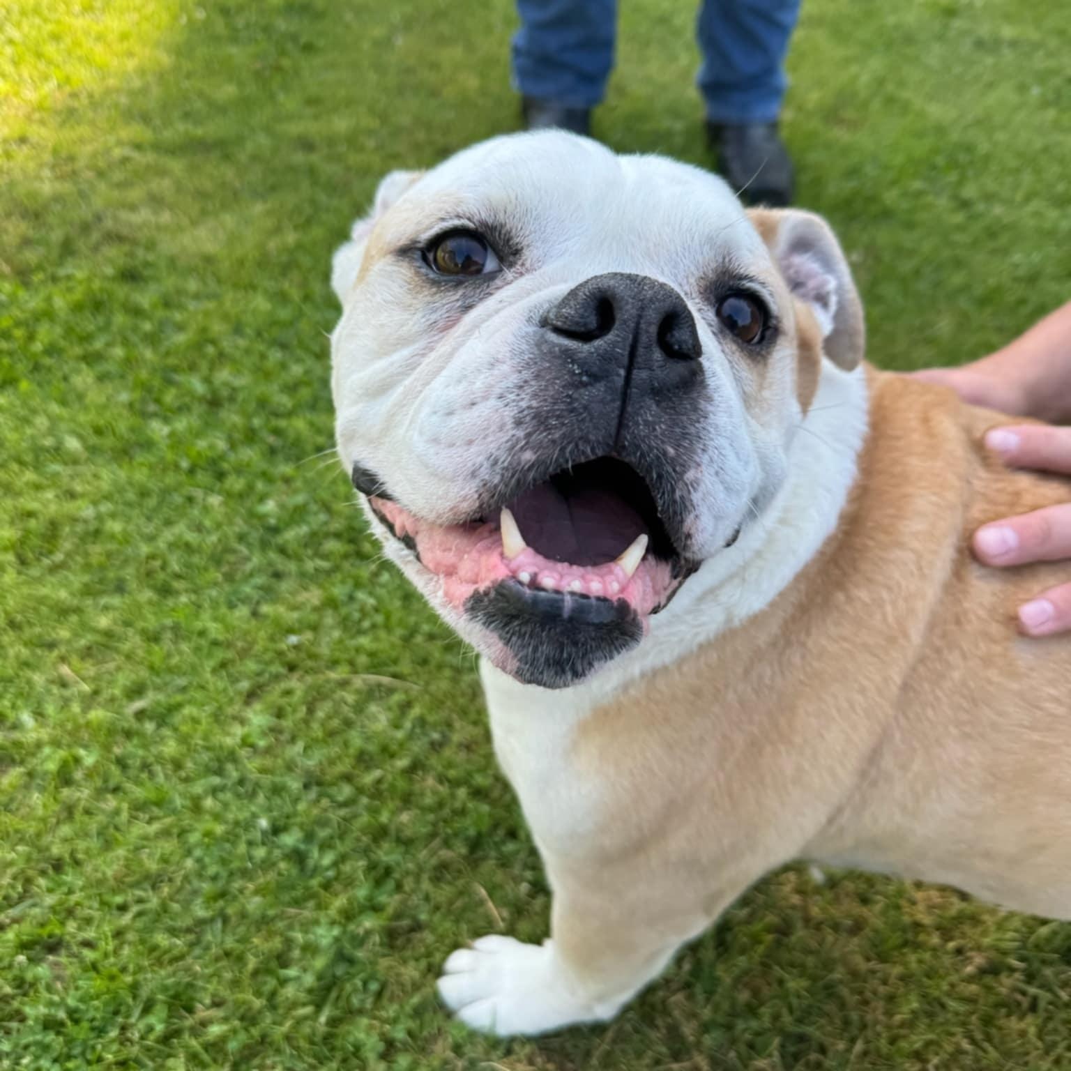 Gus