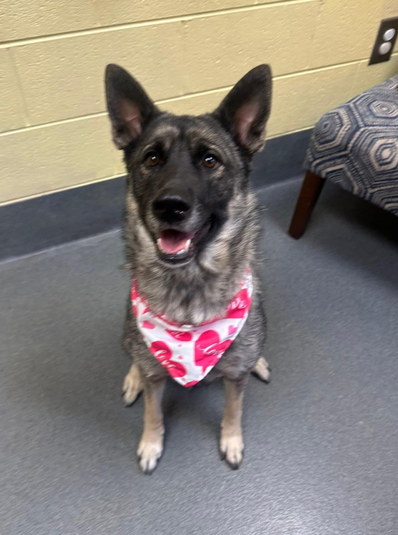 Sprouse  Staff Favorite thumbnail 3