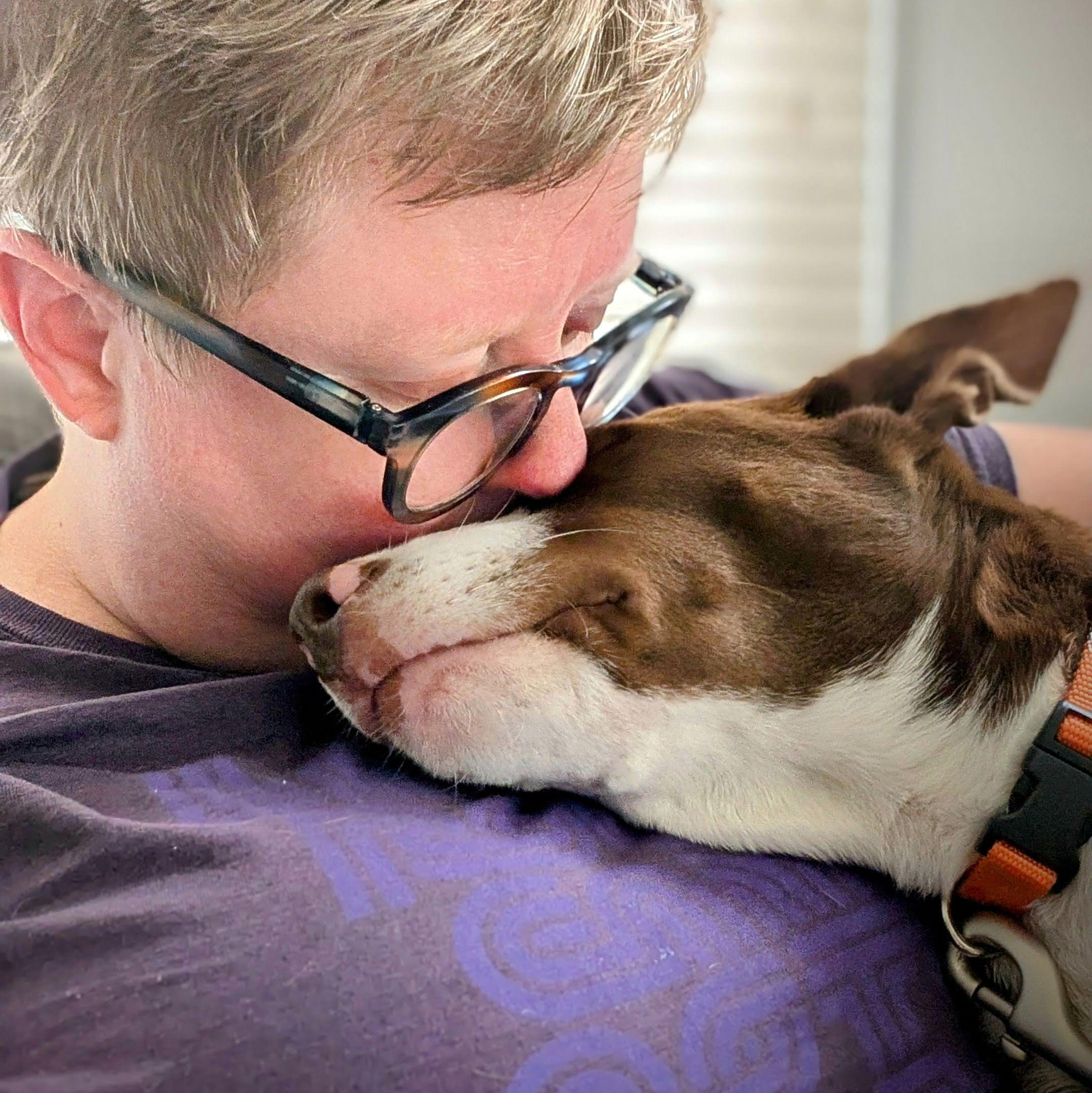 Enlarge Maximus, a Adopted mixed breed in Billerica, MA image 1/6