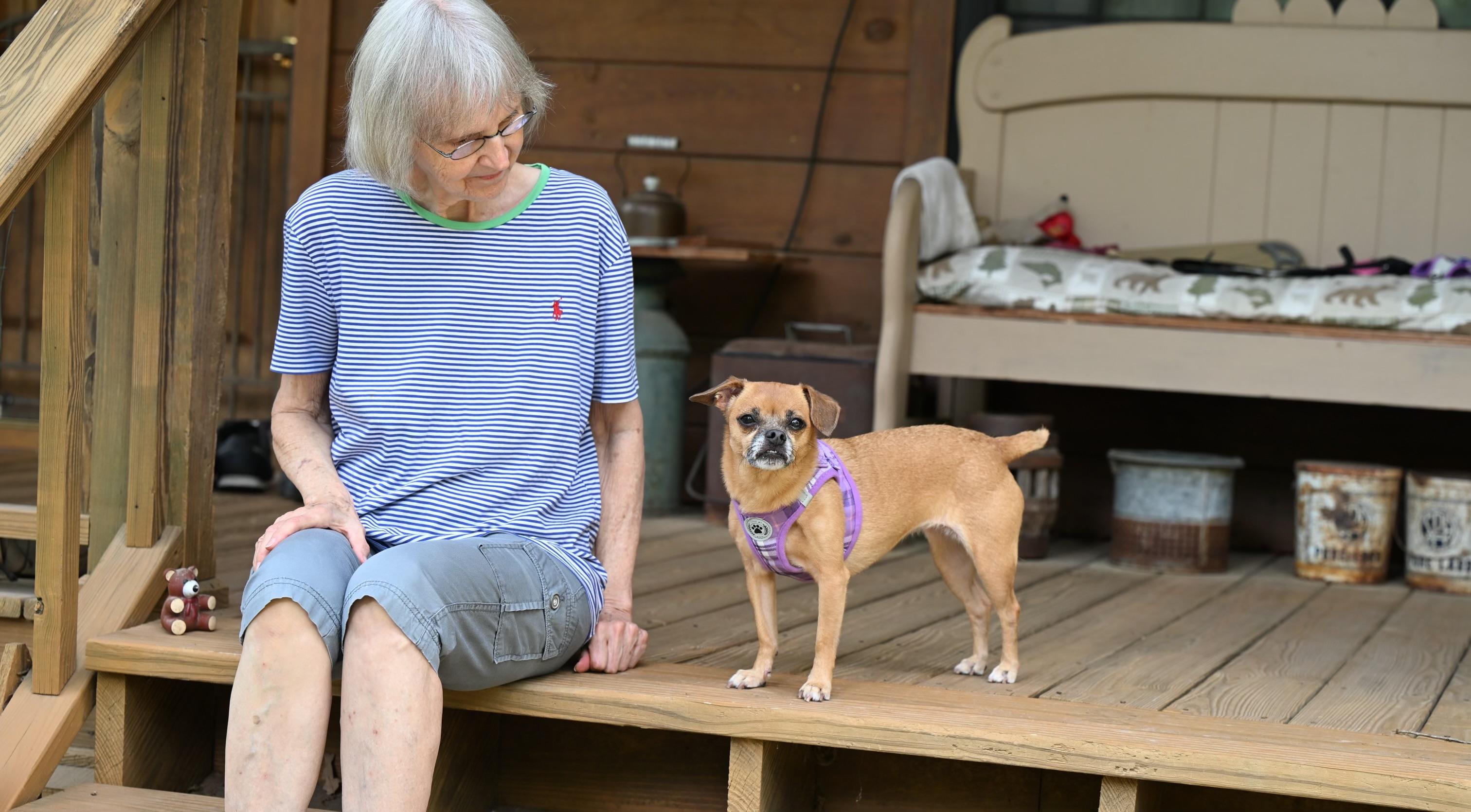 Abby, Senior Female Chihuahua