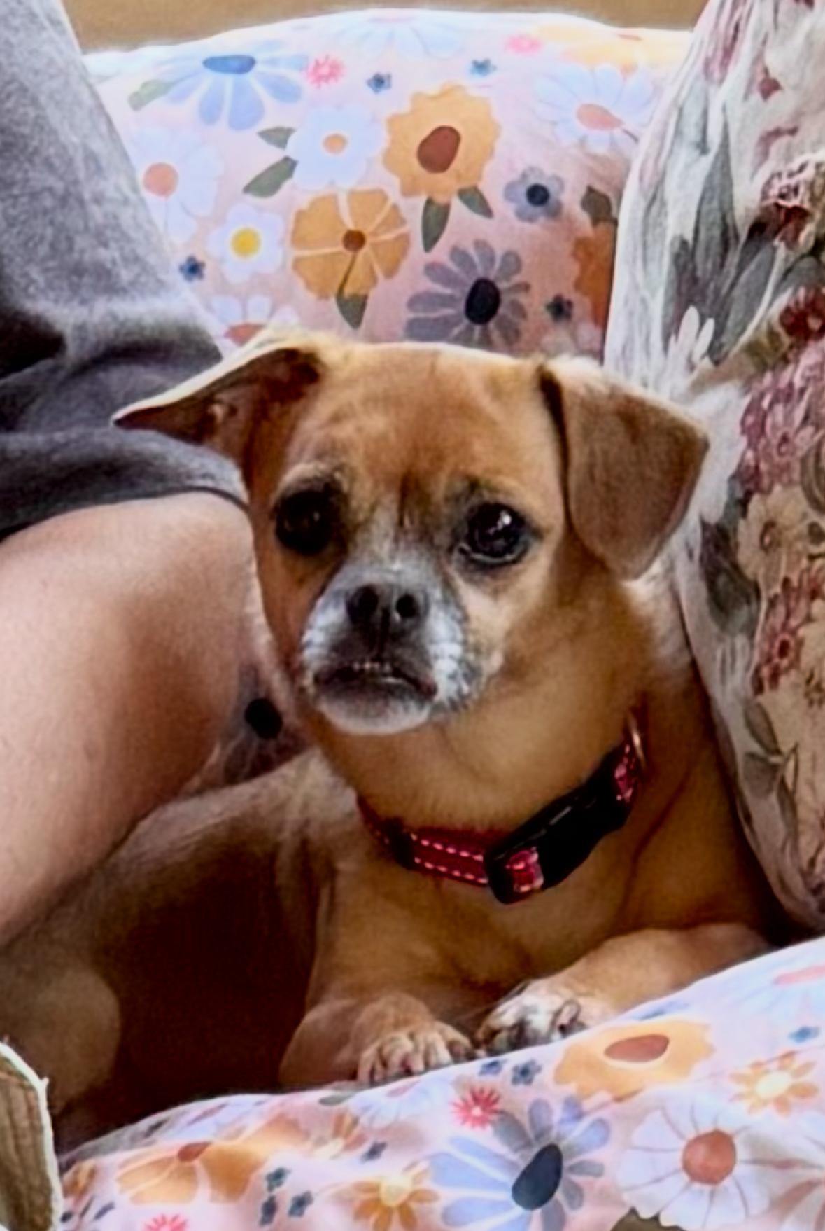 Abby photo 4