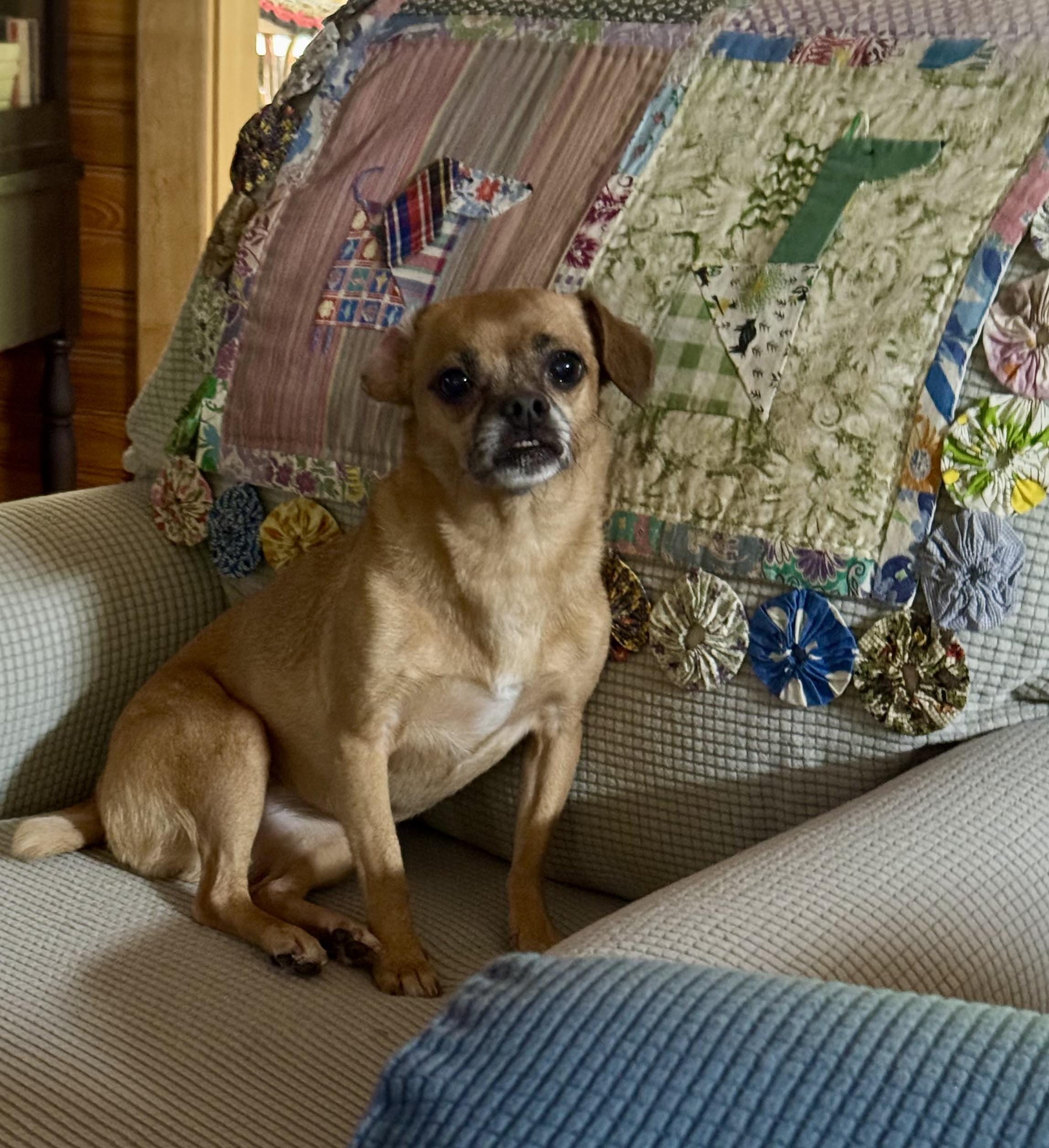 Abby photo 5