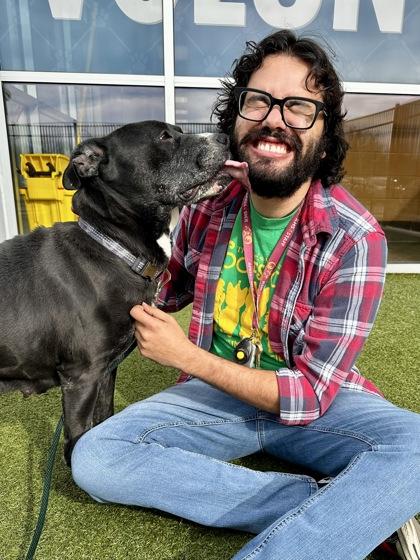 Enlarge Little Mamas, a Adoptable mixed breed in Wichita, KS image 1/3