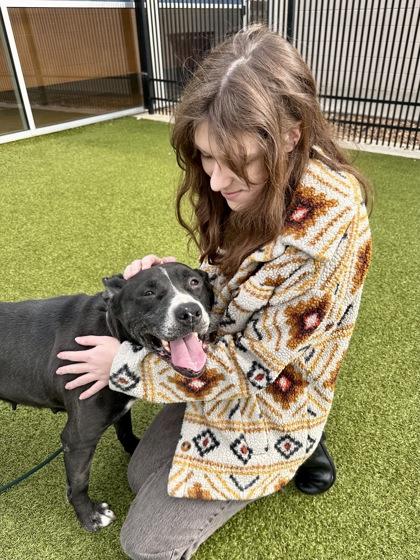 Enlarge Little Mamas, a Adoptable mixed breed in Wichita, KS image 2/3