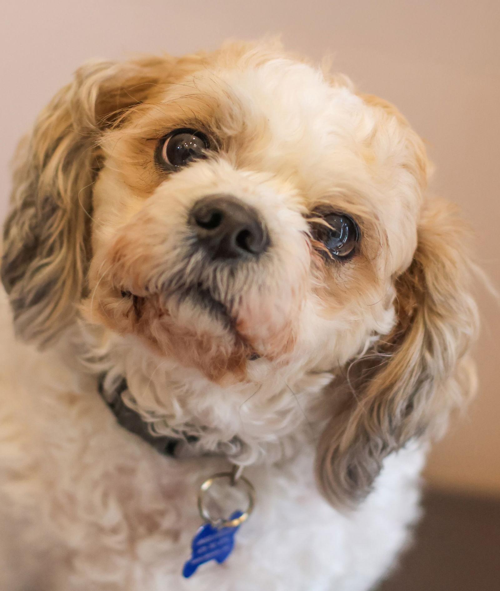 Milley Syd thumbnail 2