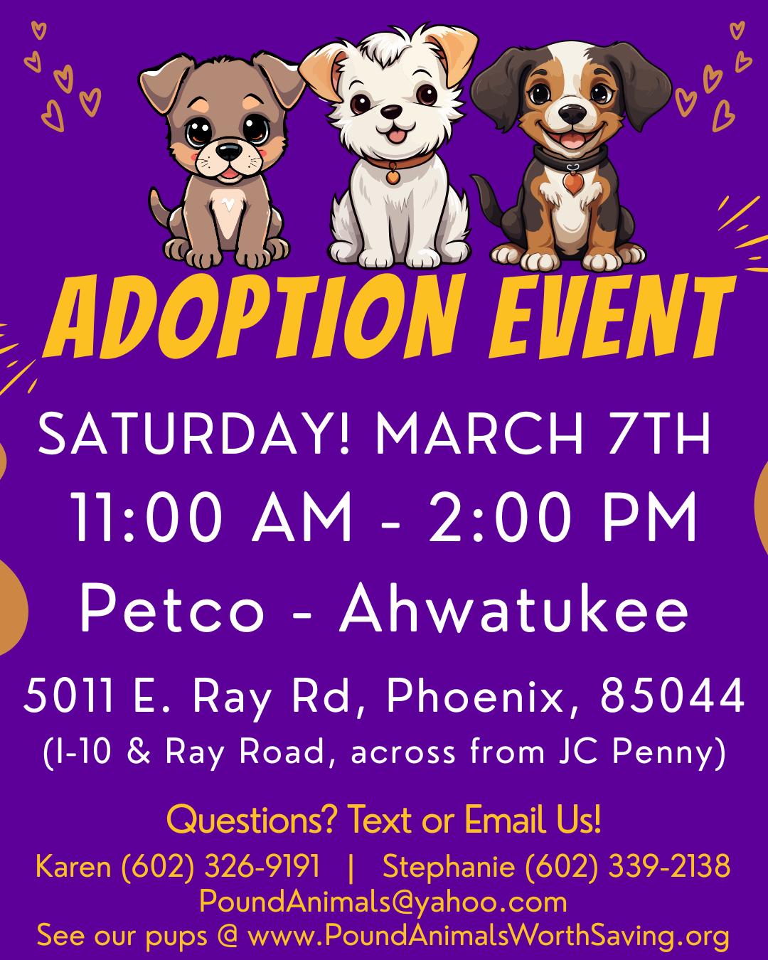 RUBY – 3 YEAR FEMALE LAB MIX @ PETCO, 5011 E. RAY ROAD, PHX 85044 ON SATURDAY, MARCH 7TH, 11–2PM, a ADOPTABLE Labrador Retriever in Mesa, AZ image 2/2