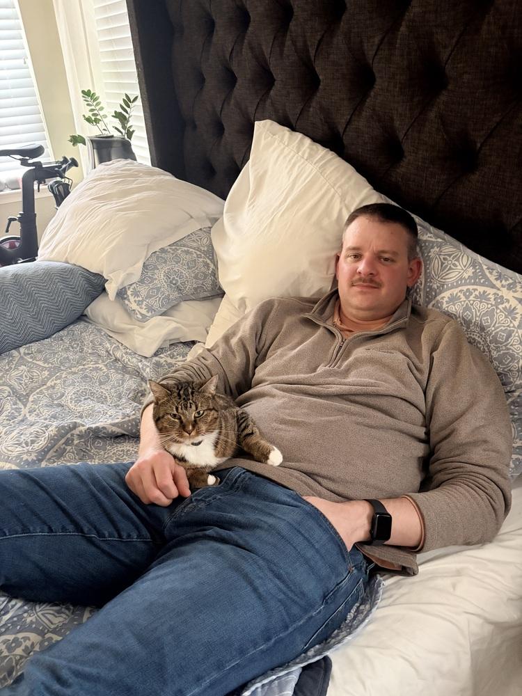 Enlarge Yara ‘26, a Adopted Domestic Short Hair in Virginia Beach, VA image 2/3