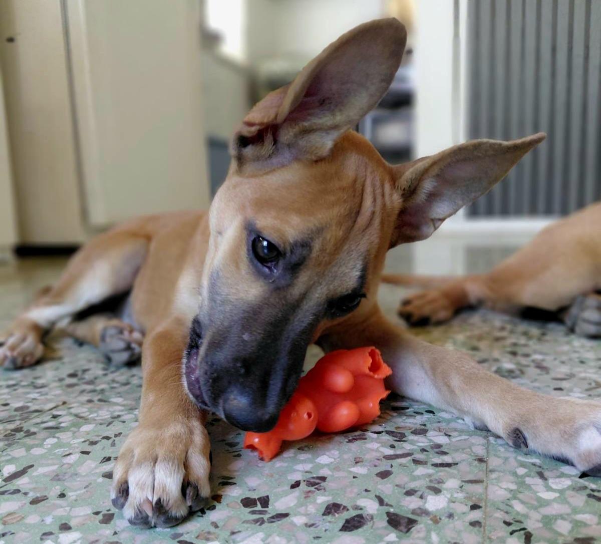 Valentina Eve "your Arms thumbnail 2