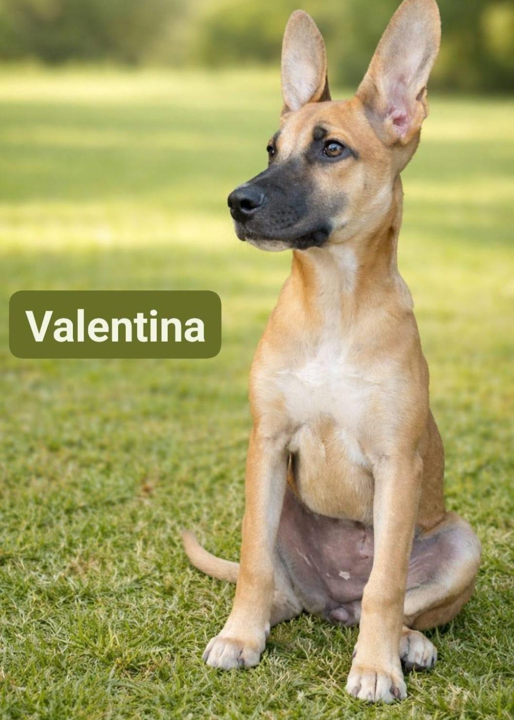 Valentina Eve "your Arms thumbnail 3