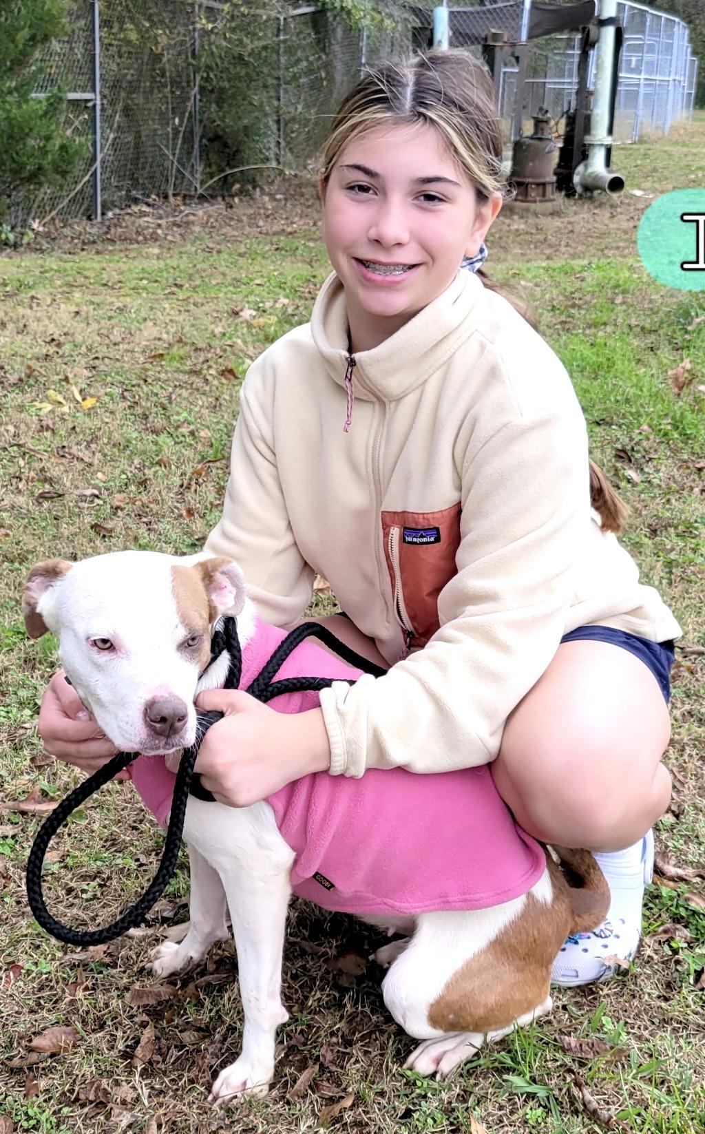 Iris -s, a ADOPTABLE mixed breed in Sequatchie, TN image 4/6