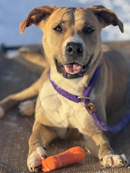 Starbucks — thumbnail 3