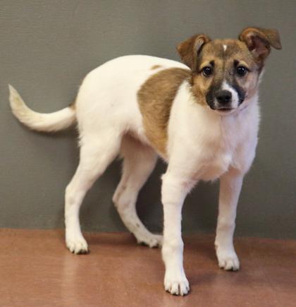 Miney — thumbnail 2