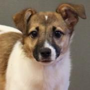 Miney — thumbnail 3