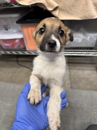 Miney — thumbnail 4