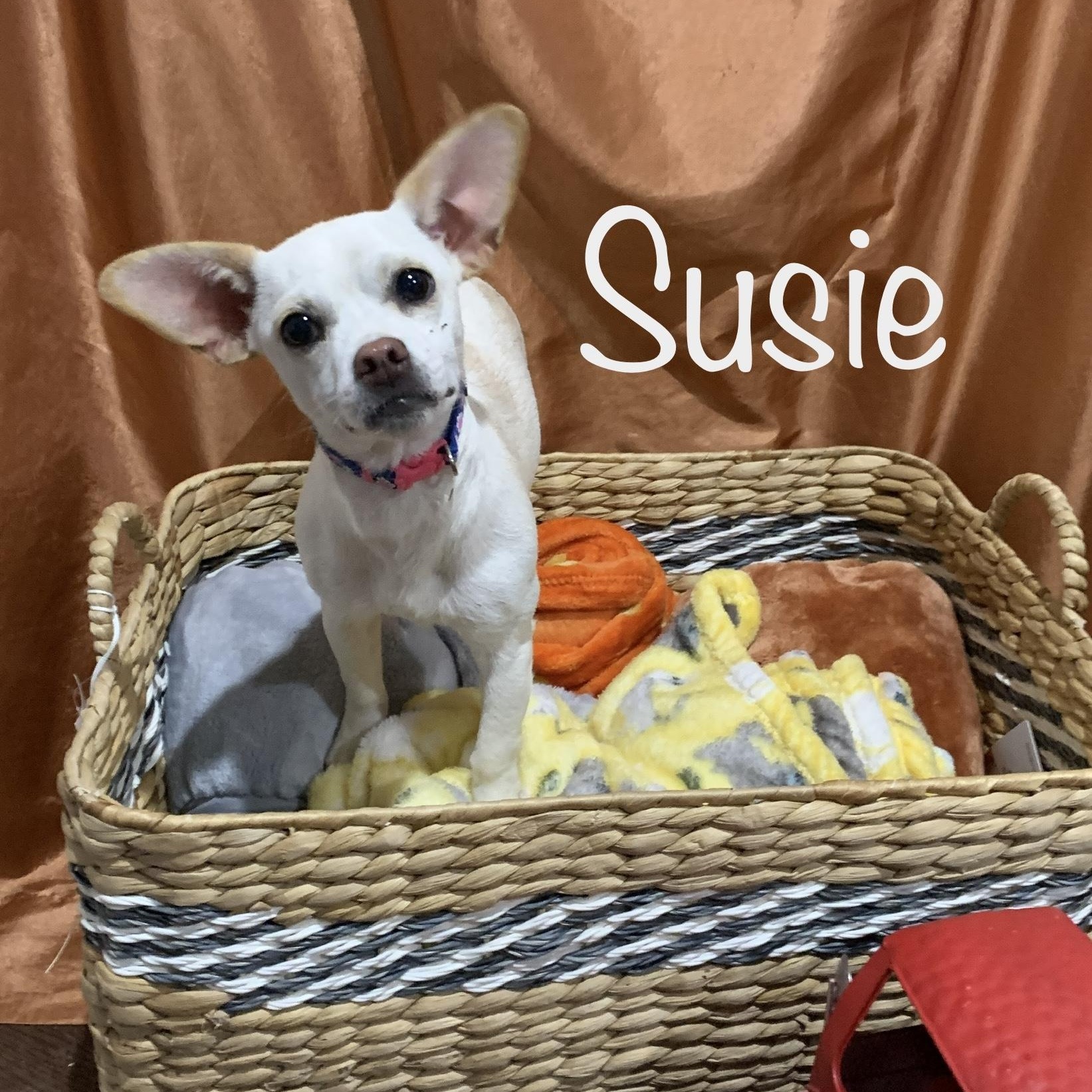 Susie * OK