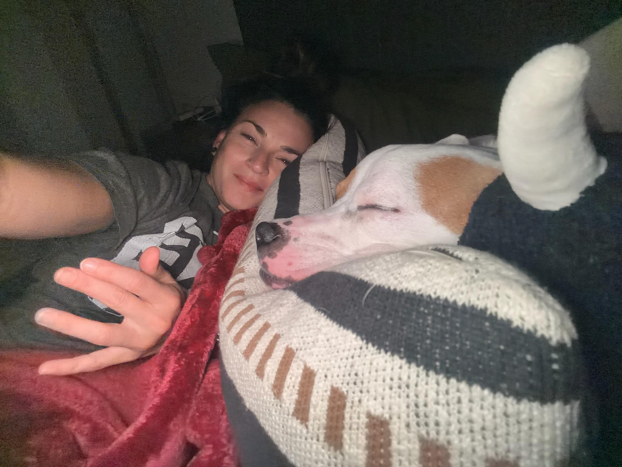 Enlarge Cashew, a Adoptable mixed breed in Brewster, NY image 6/6