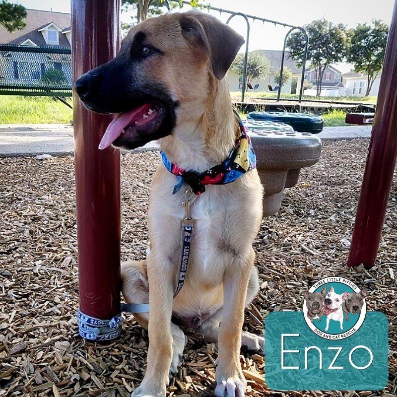 Enzo Pickled Pepper