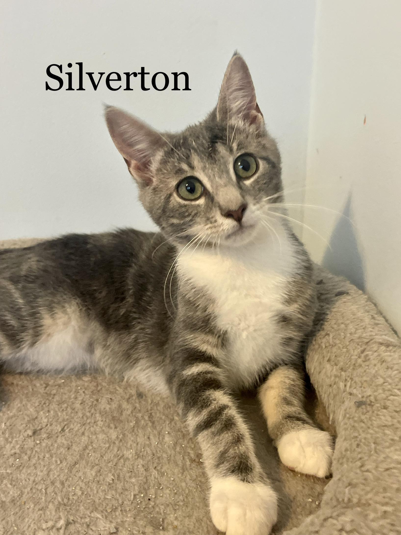 Silverton & Sarkles (brother & sister) 2